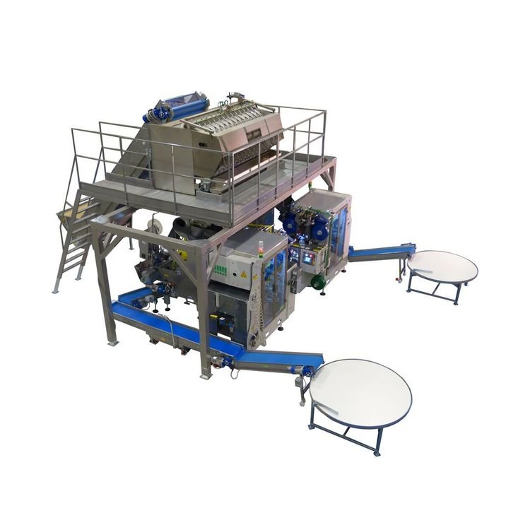 Automatinė svėrimo mašina citrusiniams vaisiams SORMA – vaizdas 2