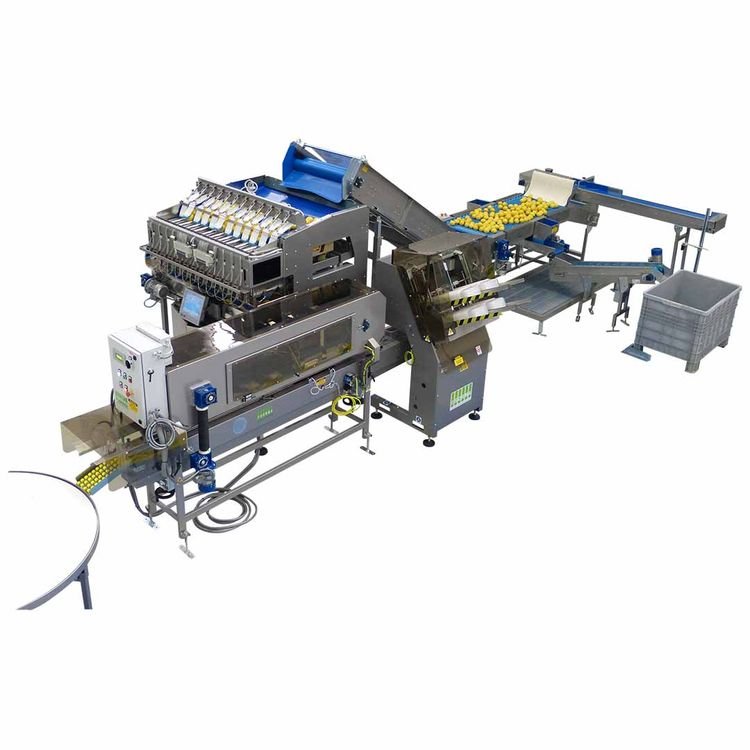 Automatinė svėrimo mašina vaisiams SORMA